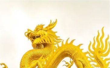 旱龙舟比赛作文5篇