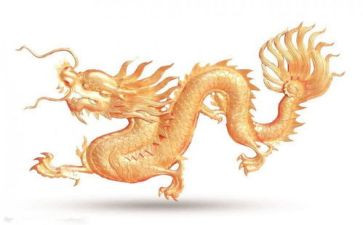 叶公好龙的读后感8篇