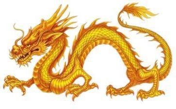 <龙的故乡>读后感5篇