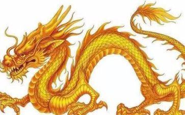 .有关龙的小学生作文8篇