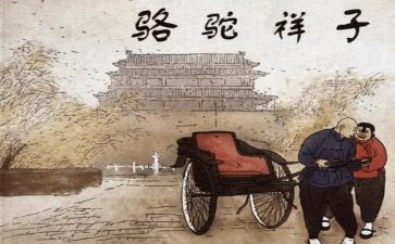 读后感骆驼祥子500字精选7篇