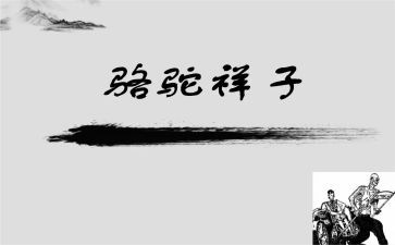 读后感骆驼祥子1000字推荐5篇