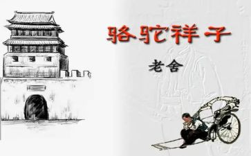 读后感骆驼祥子1000字6篇