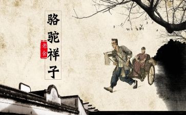 读后感骆驼祥子200字最新6篇