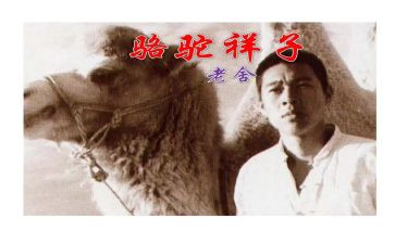 读后感骆驼祥子500字参考5篇