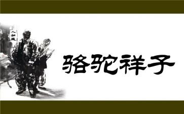 读后感骆驼祥子600字通用6篇