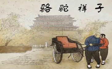 朝骆驼祥子读后感参考5篇