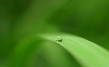 绿色环保演讲稿精选5篇