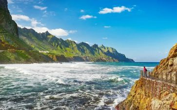 《尼尔斯骑鹅旅行记》读后感模板7篇