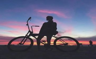尼尔斯骑鹅旅行记读后感600字8篇