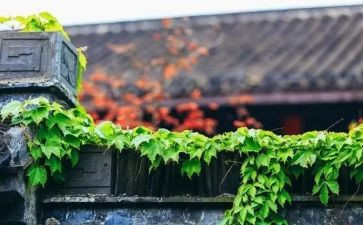 慢慢学读后感参考8篇