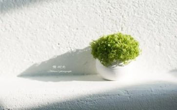 慢星球读后感推荐7篇