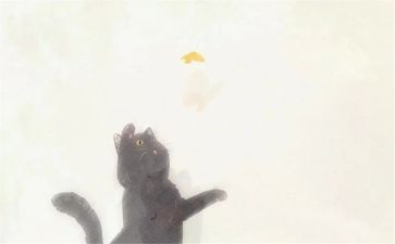 《猫》读后感30字优秀6篇