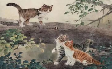 狗.猫.鼠的读后感100字参考5篇