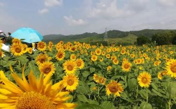 努力下的你最美丽演讲稿8篇
