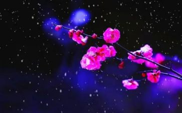腊梅花作文500字5篇
