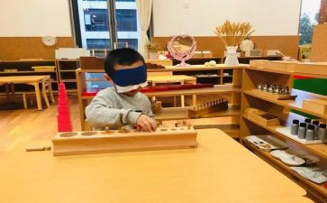 蒙氏幼儿园下学期工作计划5篇