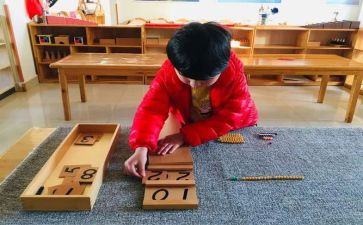 小班下学期蒙氏工作总结通用5篇