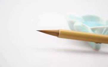 防止沉迷网络的倡议书5篇