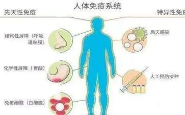 计划免疫工作计划个人总结7篇