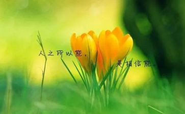名人传记读后感500字5篇
