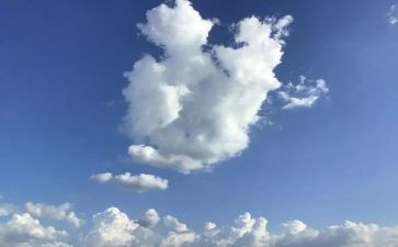 关于明天的作文推荐7篇