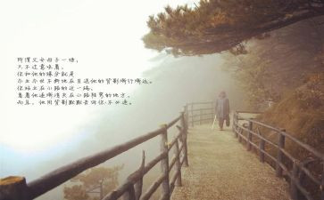 龙应台《目送》读后感800字5篇