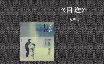 目送-为谁读后感最新6篇