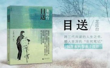 目送-为谁读后感模板7篇
