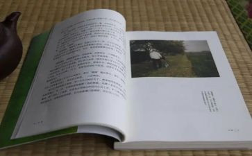 《目送》读后感最新8篇