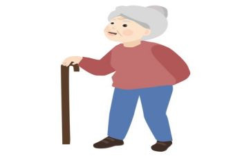 可爱的奶奶作文500字7篇