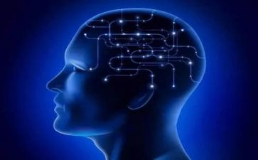 受教育的脑读后感最新7篇