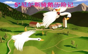 尼尔斯的读后感7篇