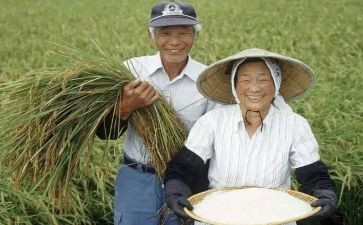农民房合同参考6篇