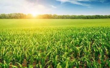 农业公司合同8篇