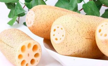 中班科学藕的教案参考7篇