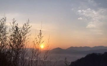 《盼》读后感600字作文最新5篇