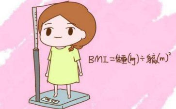 胖石头读后感8篇