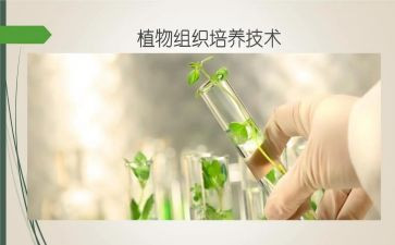 教师双培养心得体会8篇