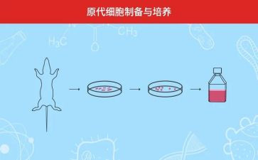 青教培养工作总结优秀7篇