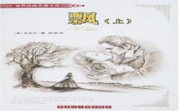 飘小说读后感600字最新6篇