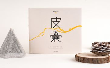 滑皮囊的读后感参考8篇
