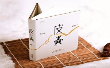 滑皮囊的读后感模板6篇