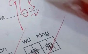 有评语的读后感精选5篇
