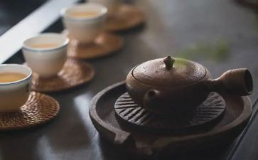 我品味过的—作文最新8篇