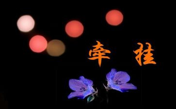 牵挂我的人,是作文5篇
