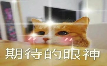 感悟2023期待2023作文参考8篇