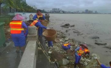 清垃圾中班教案参考7篇