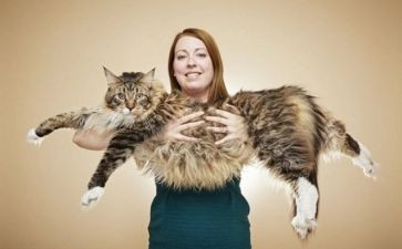 世奇人读后感精选5篇