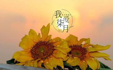 七月份保育工作计划6篇